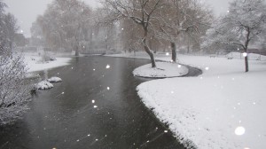 A Snowy Looking Elizabeth Gardens.