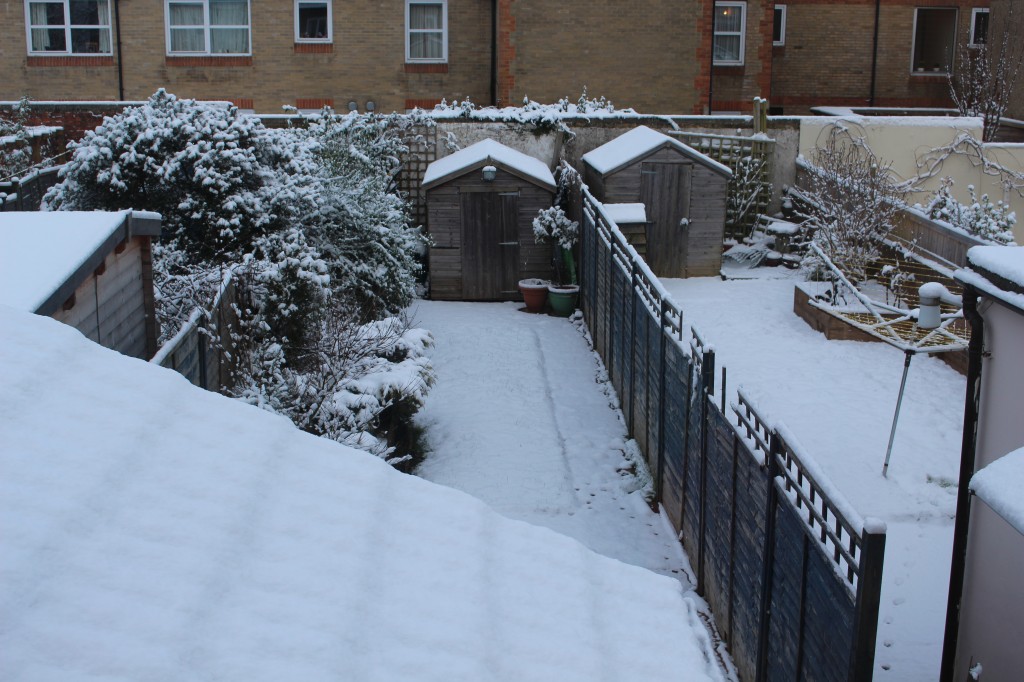 Unexpected Arrival Of Snow In Early Febuary